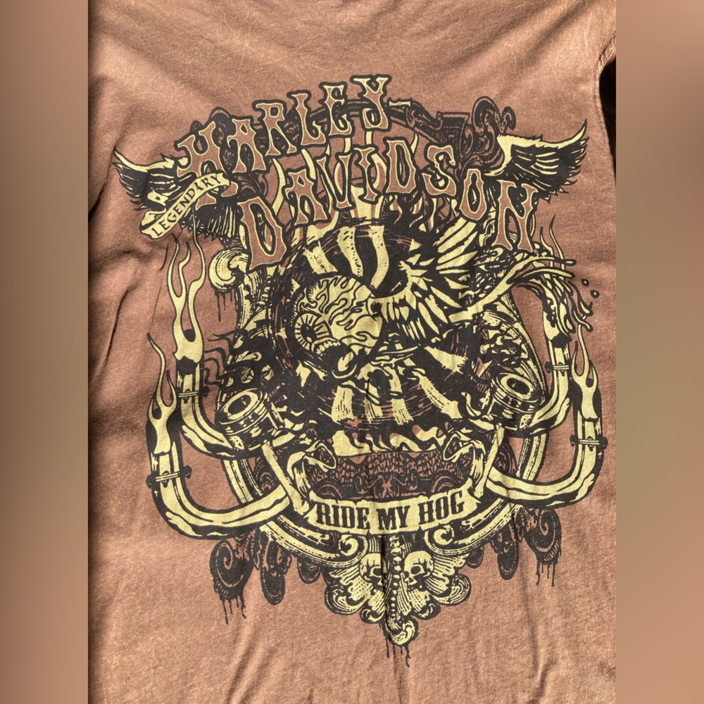 Harley Davidson Brown V Neck 100% Cotton Long Sleeve Top Ride My Hog Eyeball